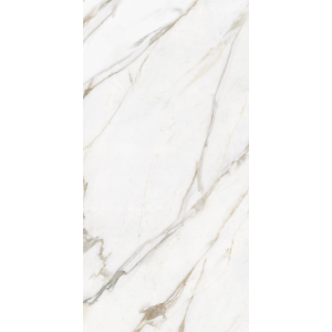 Керамогранит AVS by Italian Design Calacatta Arte 60x120 Moon Light Stone