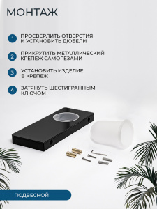 Ершик подвесной AVS Бишоп, черный матовый, с полочкой