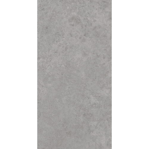 Керамогранит AVS by Italian Design Antica Grey 60x120 Lappato Керамогранит AVS by Italian Design Antica Grey 60x120 Lappato