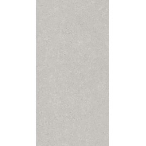 Керамогранит AVS by Italian Design Velluto Grey 60x120 Moon Light Stone Керамогранит AVS by Italian Design Velluto Grey 60x120 Moon Light Stone