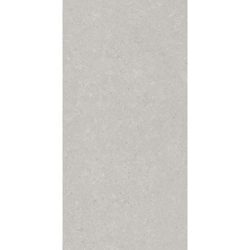 Керамогранит AVS by Italian Design Velluto Grey 60x120 Moon Light Stone Керамогранит AVS by Italian Design Velluto Grey 60x120 Moon Light Stone