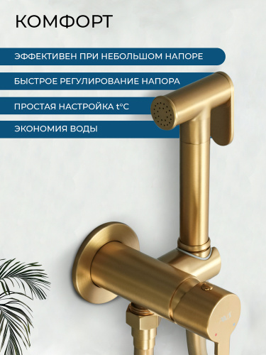 Гигиенический душ со смесителем AVS Элегант брашированное золото