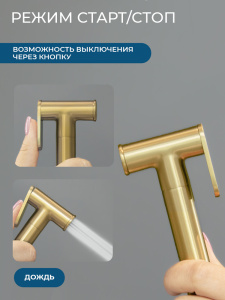 Гигиенический душ со смесителем AVS Бьюти брашированное золото