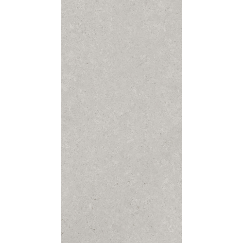 Керамогранит AVS by Italian Design Velluto Grey 60x120 Moon Light Stone Керамогранит AVS by Italian Design Velluto Grey 60x120 Moon Light Stone