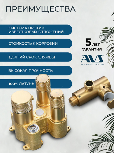 Душевой комплект AVS Люкс 3в1 круглый, брашированное золото
