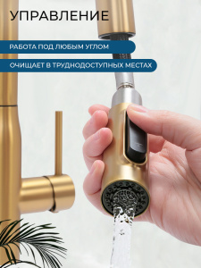 Смеситель для кухни AVS Пьюрривер 811-171-BG с выдвижным изливом, брашированное золото