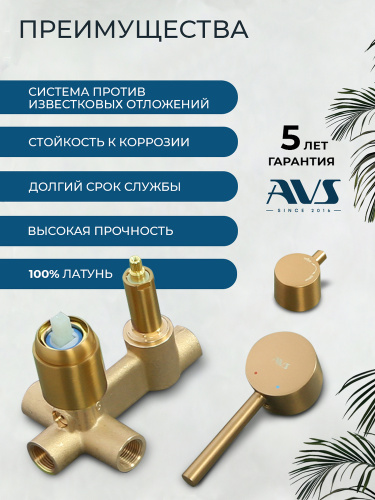 Душевой комплект AVS Слиммер 3в1 брашированное золото