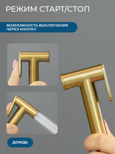 Гигиенический душ со смесителем AVS Элегант брашированное золото