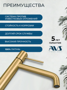Смеситель для раковины AVS Слиммер высокий, брашированное золото