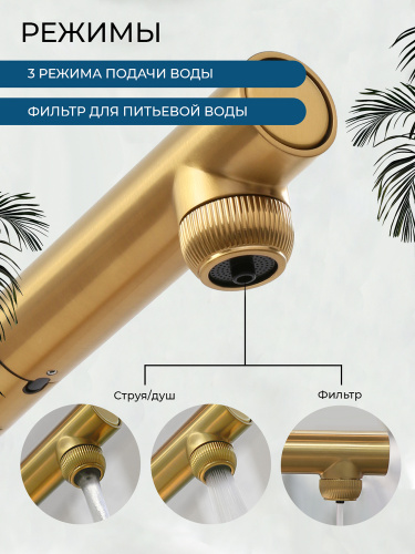 Смеситель для кухни AVS Лайнеа Пьюр Элегант 837-161-BG с вытяжным изливом и подключением к фильтру, брашированное золото