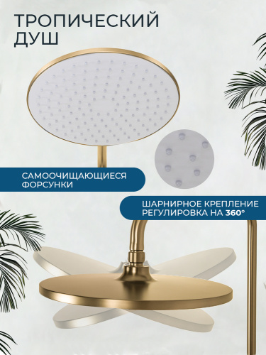 Душевая система AVS Элегант брашированное золото 811-441-BG